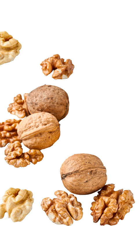 Blanсhed Walnut Kernels