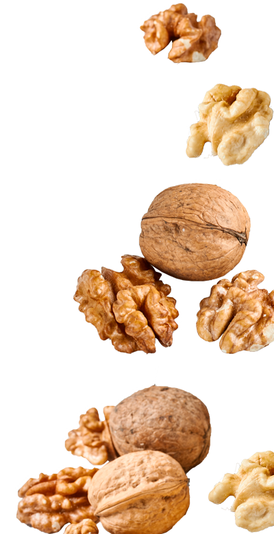 Blanсhed Walnut Kernels