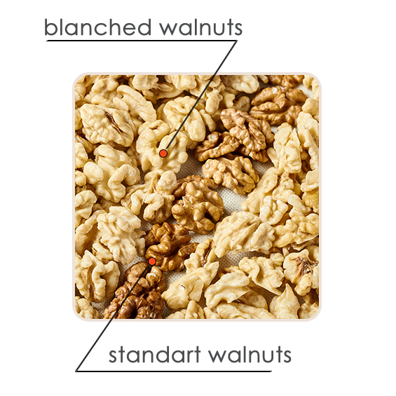 Blanсhed Walnut Kernels