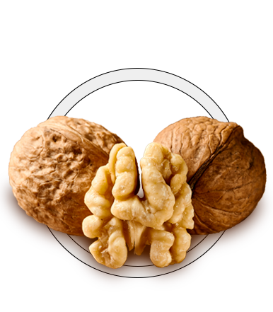 Walnuts